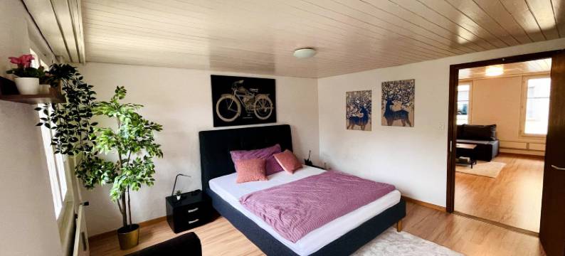 Newly Furnished Beautiful Old Building Apartment in the Center with Apple TV图片