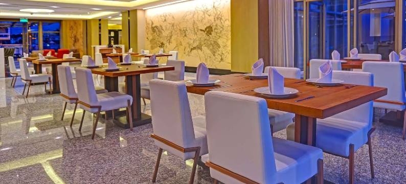 瓜亚基尔丽筠酒店(Radisson Hotel Guayaquil)图片