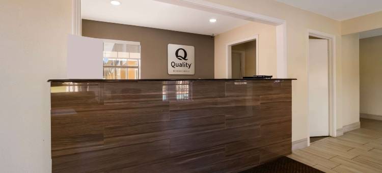 Quality Inn图片