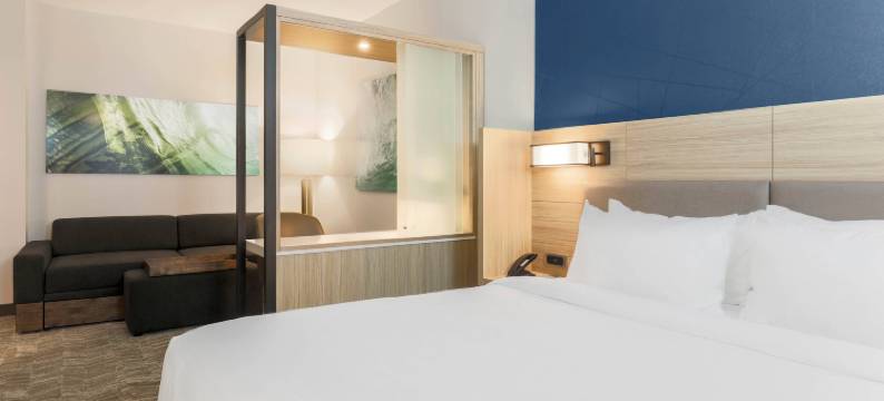 塔拉哈西北部SpringHill Suites酒店(SpringHill Suites Tallahassee North)图片