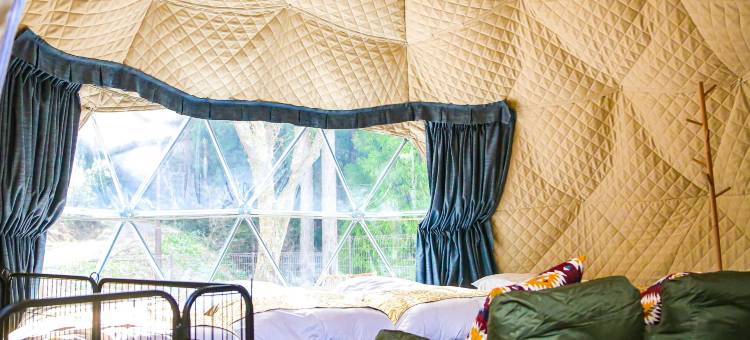 Rupo no Mori (Foret de Repos)图片