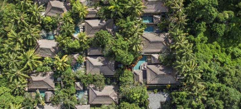 乌布乡村度假村(The Ubud Village Resort & Spa)图片