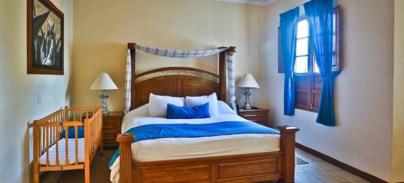 卡萨萨尤拉画廊＆SPA大酒店(Gran Casa Sayula Galeria & Spa)图片