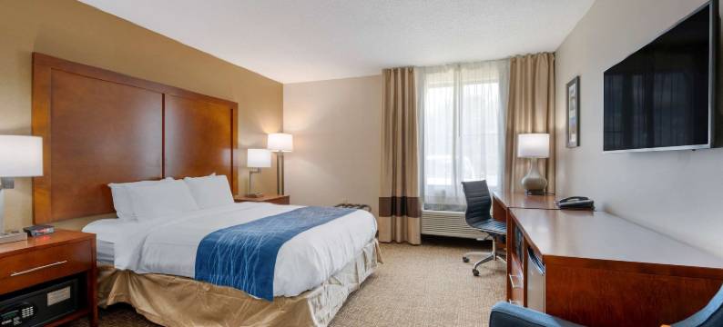 安德森南凯艺酒店(Comfort Inn Anderson South)图片