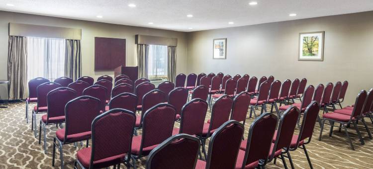 南菲尔德/底特律舒适套房酒店(Comfort Suites Southfield-Detroit)图片