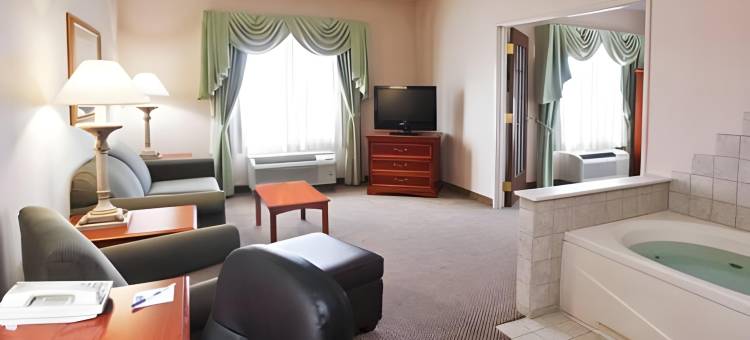智选假日套房酒店萨吉诺(Holiday Inn Express & Suites Saginaw)图片
