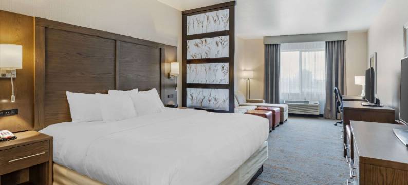 布赖顿丹佛东北医疗中心舒适套房酒店(Comfort Inn & Suites Brighton Denver NE Medical Center)图片