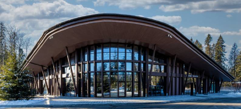 伊泽鲁迪尼勒斯生态酒店(Cosmos Collection Izumrudny Les Hotel)图片