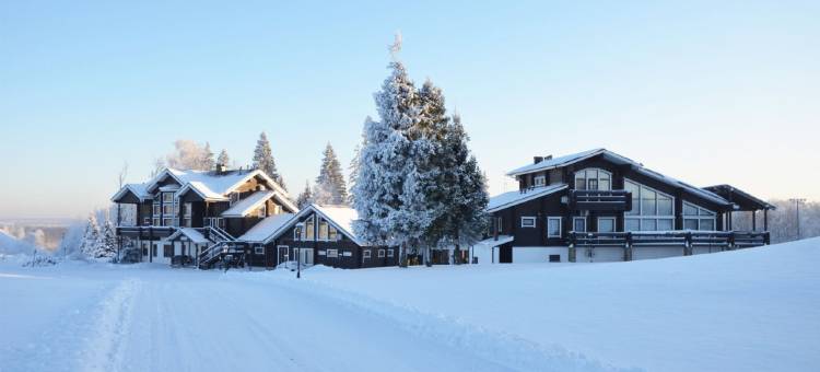 列耶佛复合式酒店(Tseleevo Club & Resort Country Hotel)图片