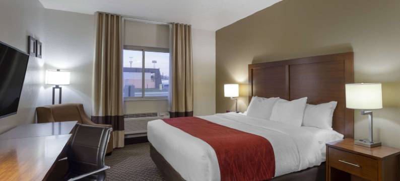 舒适酒店霍巴特-梅里尔维尔 I-65(Comfort Inn Hobart-Merrillville I-65)图片