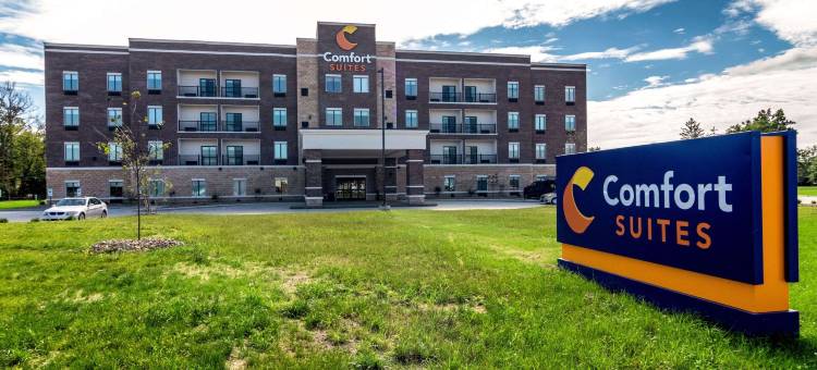 康福特套房布伦瑞克镇中心(Comfort Suites Brunswick Town Center)图片