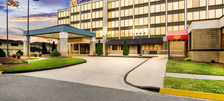 黄金海岸舒适酒店(Comfort Inn Gold Coast)图片