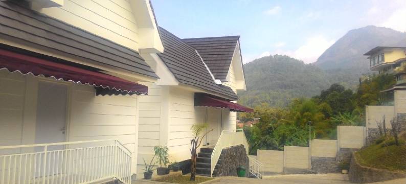 阿玛兰塔旅馆(Amaranta Guest House)图片