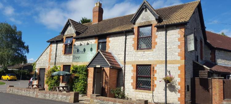 OYO 胡桃树(OYO The Walnut Tree)图片