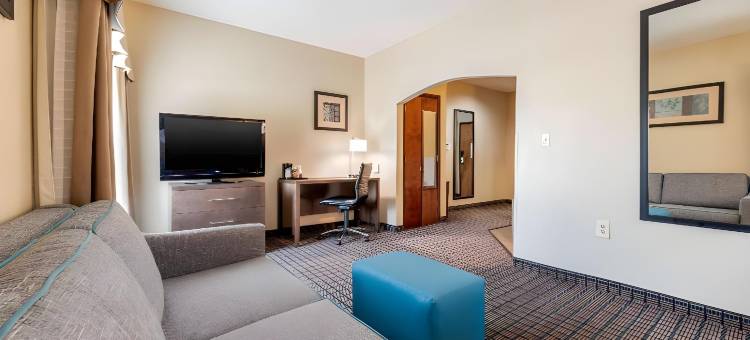 舒适套房酒店(Comfort Inn & Suites)图片