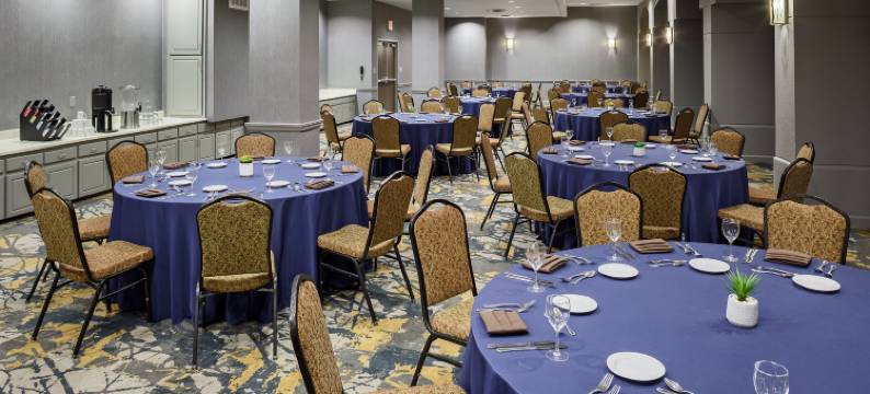 圣安东尼奥市区希尔顿逸林酒店(DoubleTree by Hilton Hotel San Antonio Downtown)图片