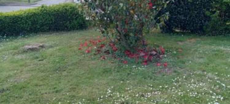 Les Trois Chambres de Lyly situées a Brou图片