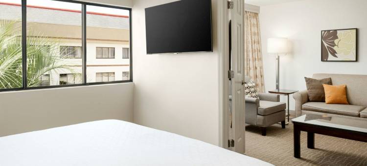 奥兰多机场喜来登套房酒店(Sheraton Suites Orlando Airport)图片