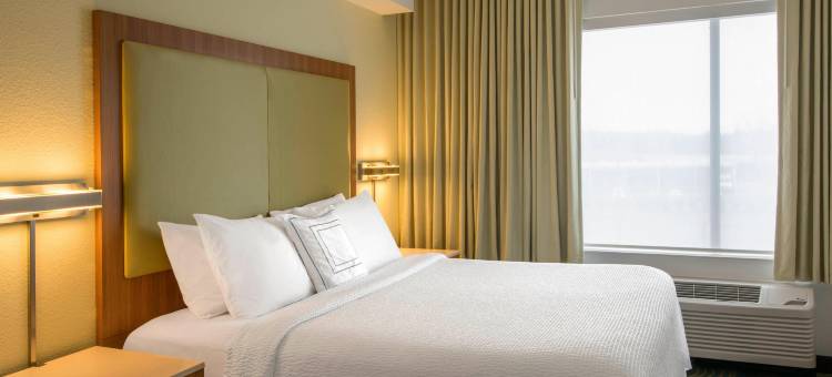 夏洛特机场万豪SpringHill Suites 酒店(SpringHill Suites Charlotte Airport)图片