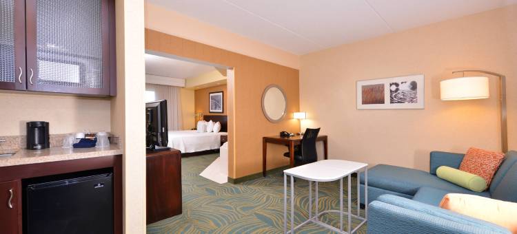 阿伦德尔米尔斯巴尔的摩华盛顿国际机场万豪SpringHill酒店(SpringHill Suites Arundel Mills BWI Airport)图片