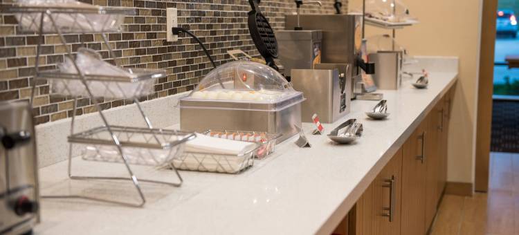 巴特尔克里克TownePlace套房酒店(TownePlace Suites Battle Creek)图片