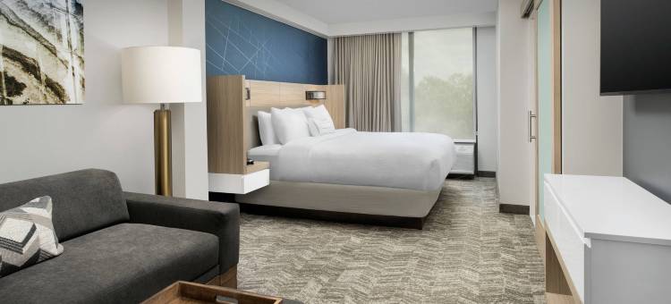 亚特兰大周界中心万豪SpringHill Suites酒店(SpringHill Suites Atlanta Perimeter Center)图片