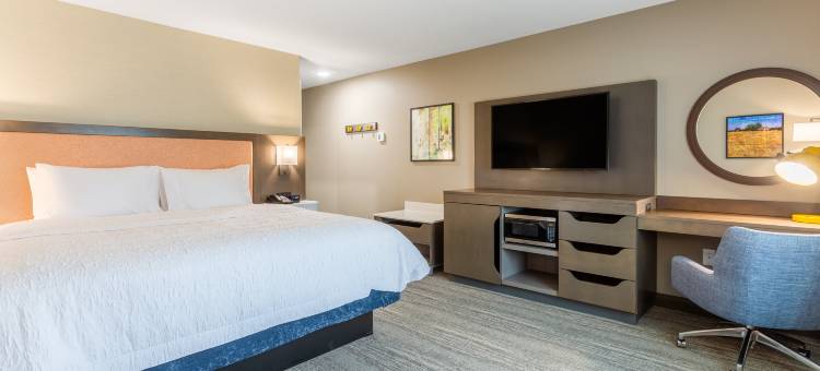 盖蒙希尔顿欢朋套房酒店(Hampton Inn and Suites Guymon)图片