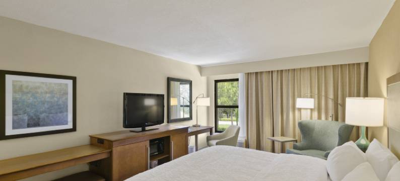 希尔顿欢朋酒店-多拉山(Hampton Inn Mt. Dora)图片