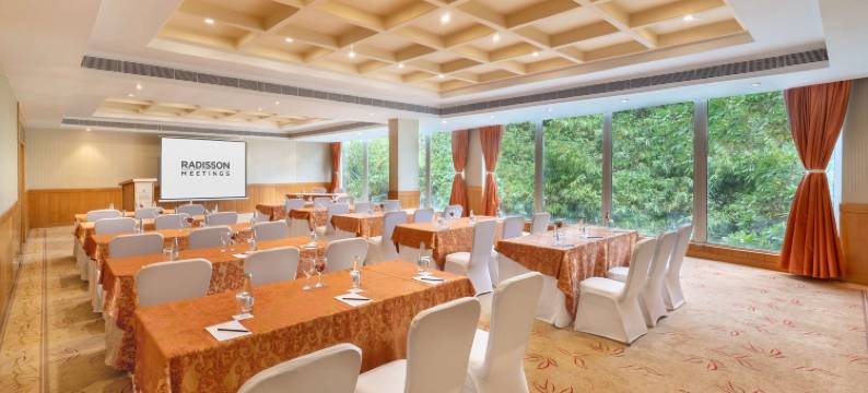 金奈OMR 丽亭酒店(Park Plaza Chennai OMR)图片