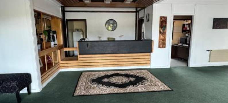 托卡努酒店(Tokaanu Hotel)图片