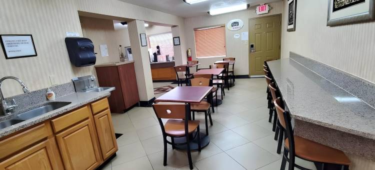 菲布丽酒店及套房(FairBridge Inn & Suites McDonough)图片