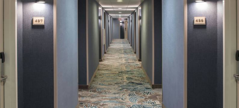 万豪新奥尔良仓库艺术区SpringHill套房(SpringHill Suites New Orleans Warehouse Arts District)图片