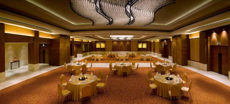 拉利特新德里(The Lalit New Delhi)图片