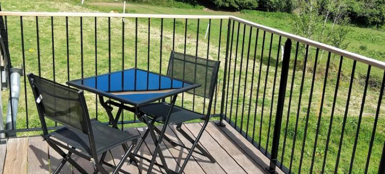 德玛内德乐斯瓦内尔酒店(Domaine de Lesvaniel)图片