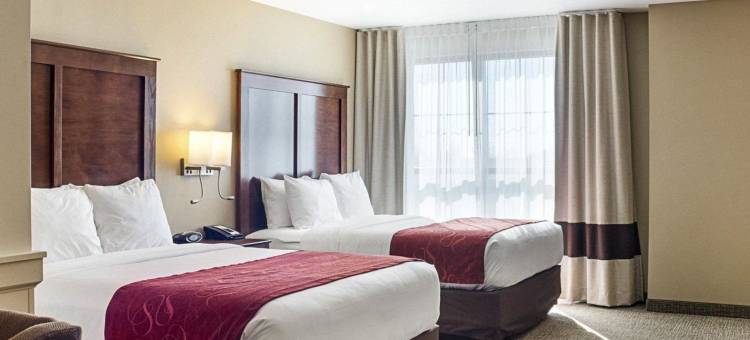 医疗中心舒适套房酒店(Comfort Suites Medical Center)图片