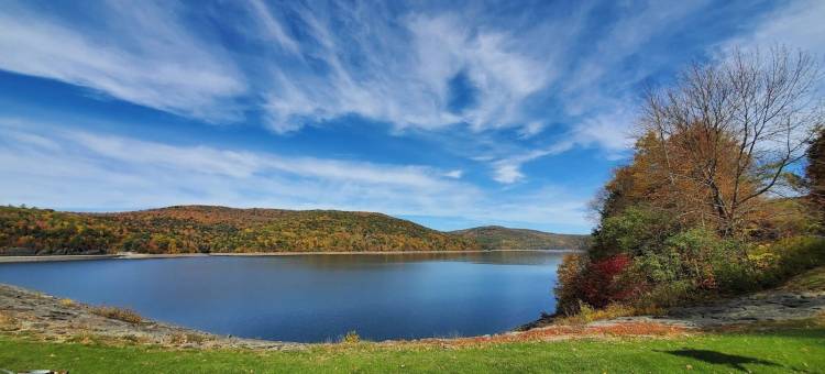 卡茨基尔度假屋(Catskill Retreat)图片