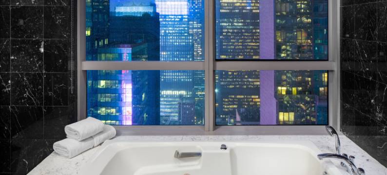 千禧酒店-百老汇时代广场(Millennium Hotel Broadway Times Square)图片