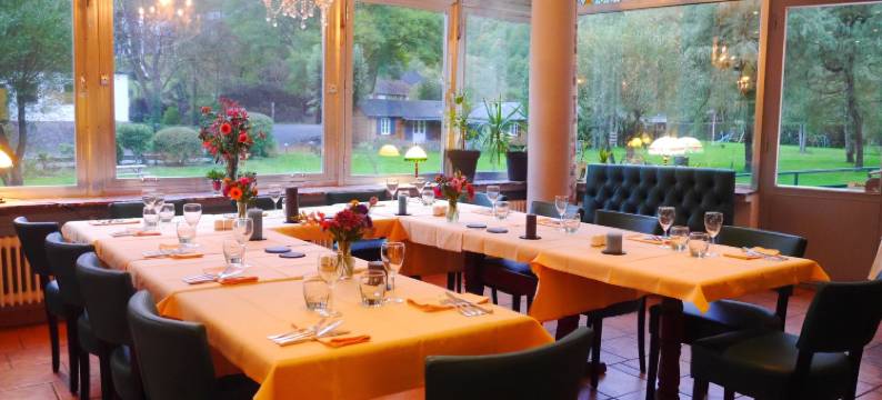 德霸基普雷哥酒店(Hotel Dirbach Plage)图片