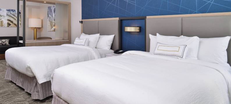 SpringHill Suites Springfield Southwest图片