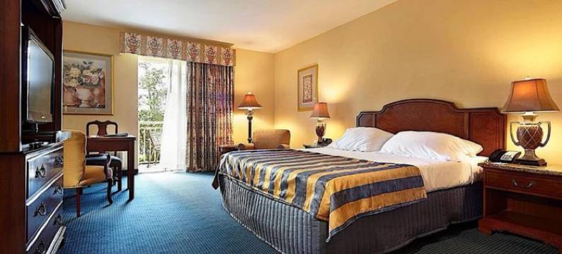 特里亚侬博尼塔湾酒店(Trianon Bonita Bay Hotel)图片