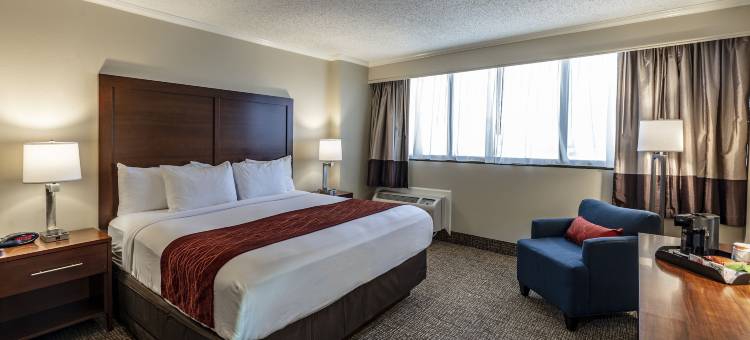 科普兰大楼舒适套房酒店(Comfort Inn & Suites at Copeland Tower)图片