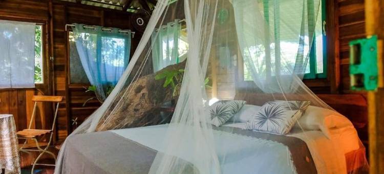 大滩旅馆(Playa Grande Lodge & Tree House)图片