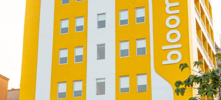 Bloom Hotel - Ranchi 花酒店 - 兰契(Bloom Hotel - Ranchi)图片