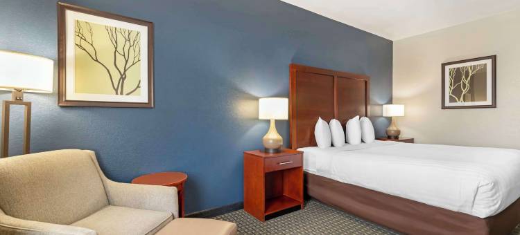 科珀斯克里斯蒂西北贝斯特韦斯特套房酒店(Best Western Northwest Corpus Christi Inn  Suites)图片