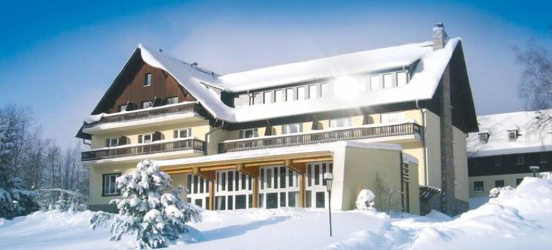 浩亚洪佛日恩假日酒店(Hotel Haus am Ahorn)图片