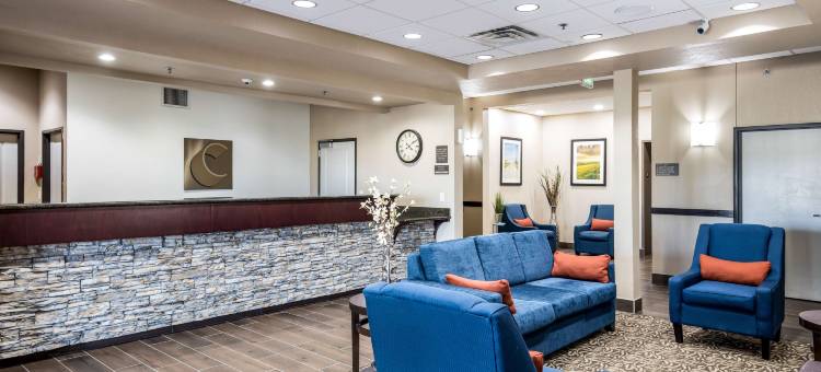 堪萨斯城-邦纳斯普林斯舒适酒店(Comfort Inn Bonner Springs Kansas City)图片