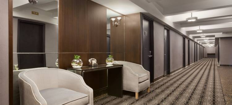 爱迪生酒店(Hotel Edison Times Square)图片