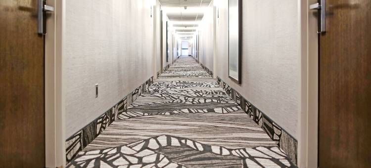 赛丁29号贝斯特韦斯特优质酒店(Best Western Plus Siding 29 Lodge)图片