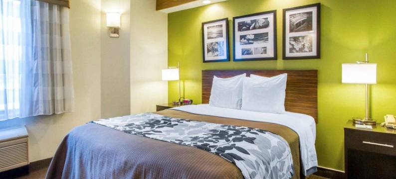 伊克诺旅馆-阿马里洛东(Econo Lodge Amarillo East)图片