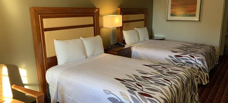 桃子树旅馆(Peach Tree Inn)图片